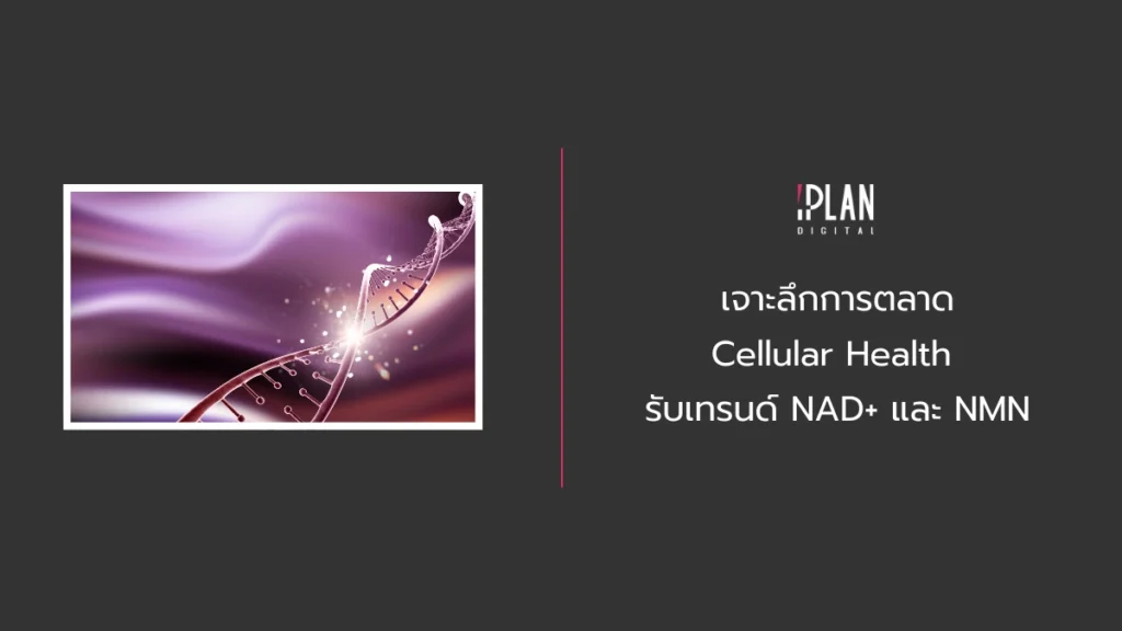 เจาะลึกการตลาด Cellular Health รับเทรนด์ NAD+ และ NMN 1 - เจาะลึกการตลาด Cellular Health รับเทรนด์ NAD+ และ NMN